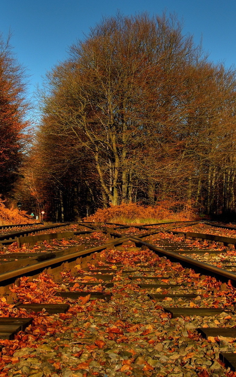 Beethoven non fa più&nbsp;paura